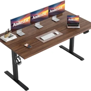 Agilestic Electric Standing Desk, 48 x 24 Inches Height Adjustable Desk