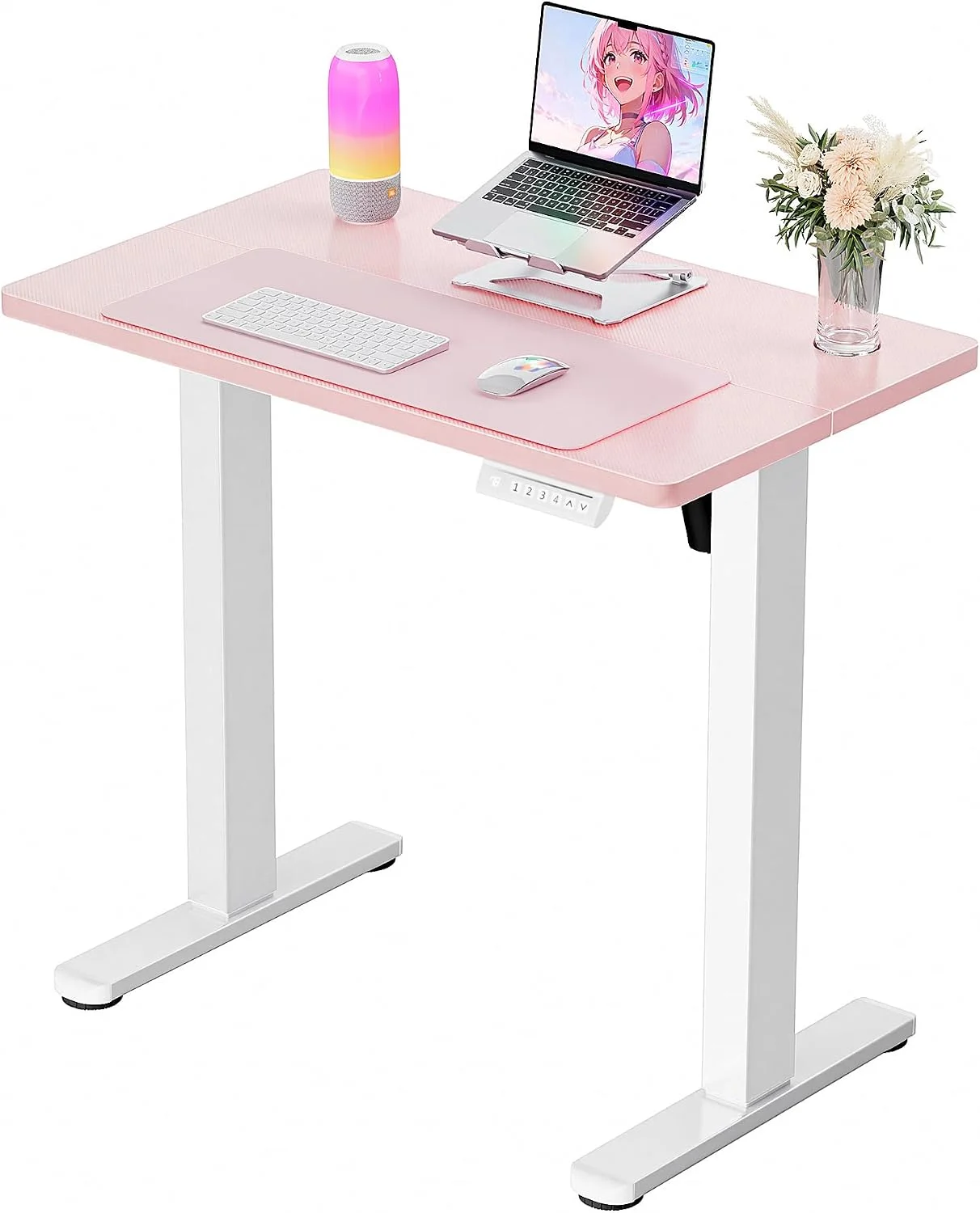 ErGear Height Adjustable Electric Standing Desk, 48 x 24 Inches Sit Stand up Desk