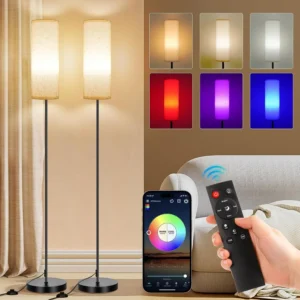 FRIDEKO HOME 2 Pack Floor Lamp, Dimmable, Modern Floor Lamp with Remote